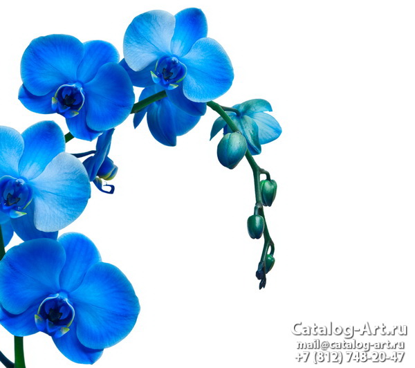 Натяжные потолки с фотопечатью - Голубые цветы 45